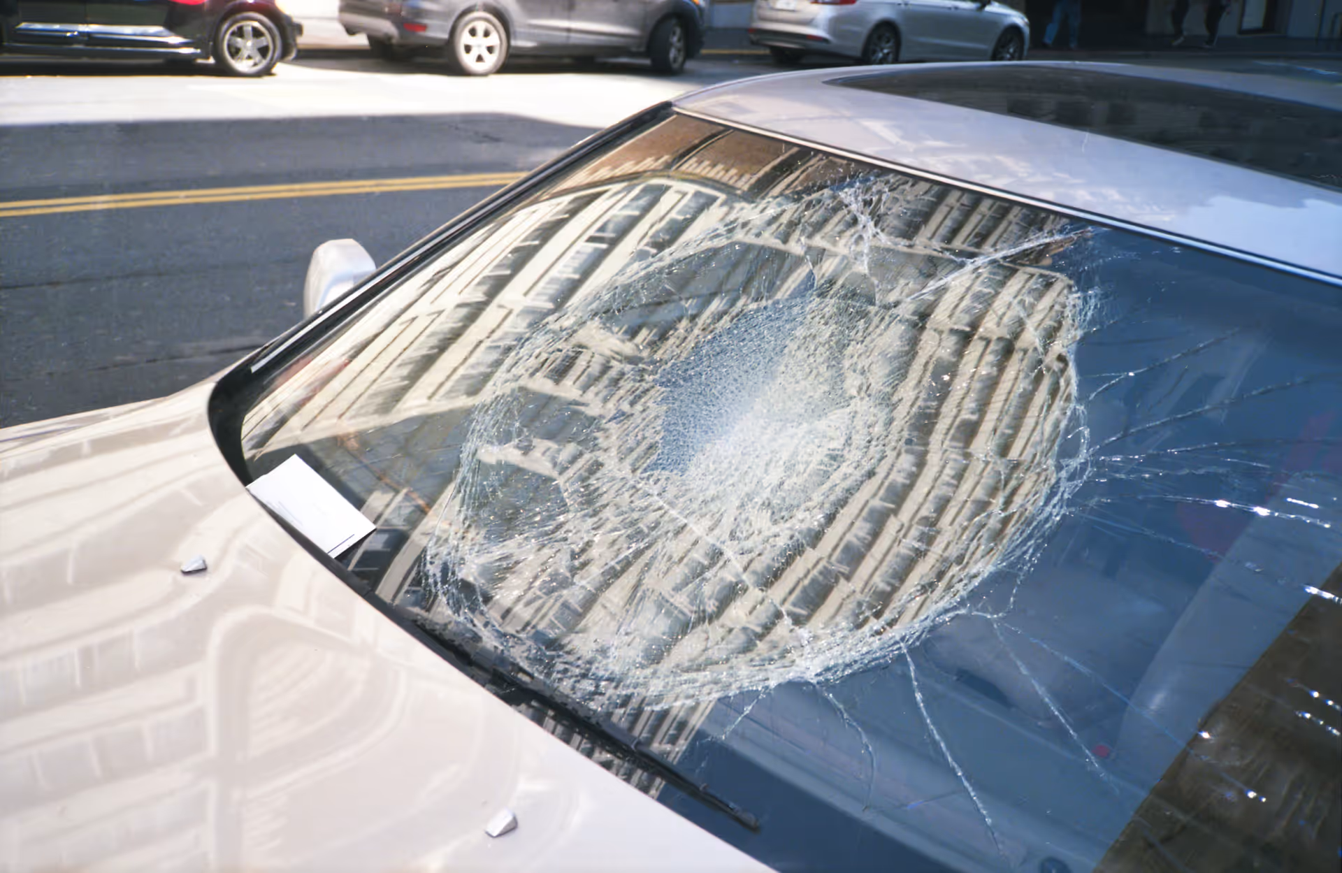Breakage & shatter protection